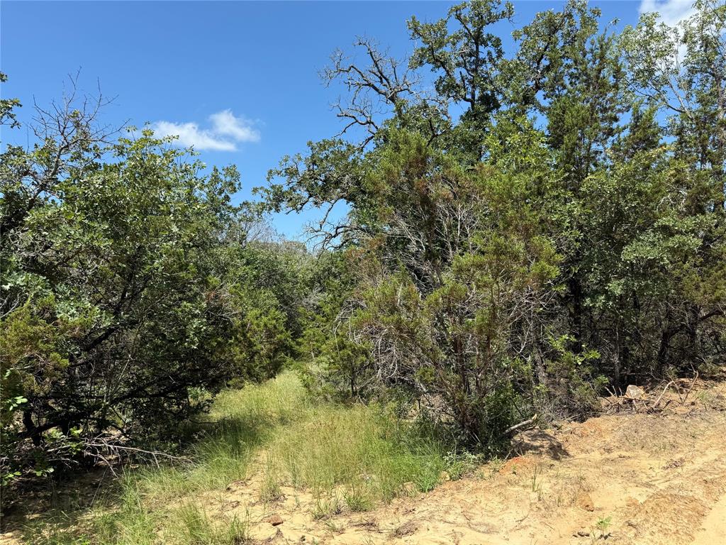 850 Fm 2256 Property Photo 12