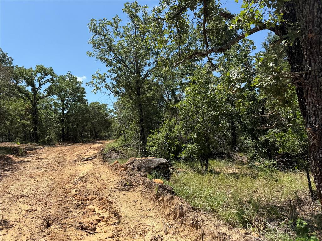 850 Fm 2256 Property Photo 13
