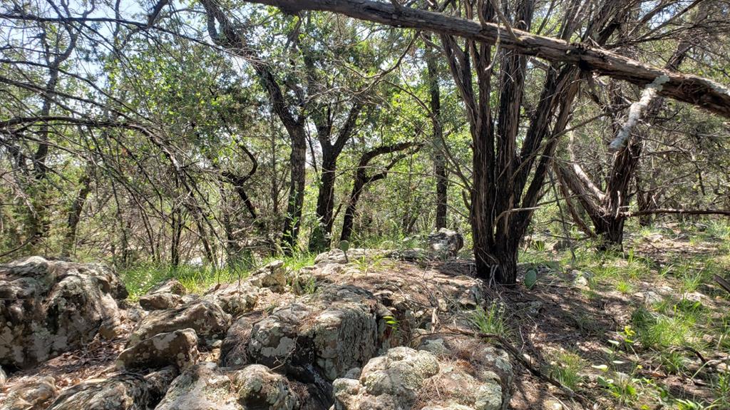 850 Fm 2256 Property Photo 15