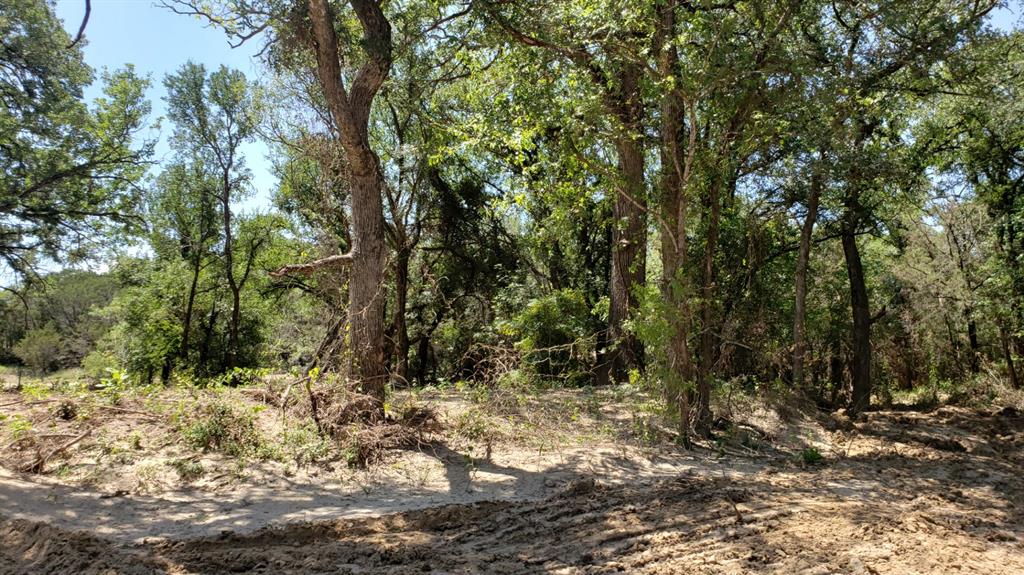 850 Fm 2256 Property Photo 22