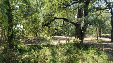 850 Fm 2256 Property Photo 27