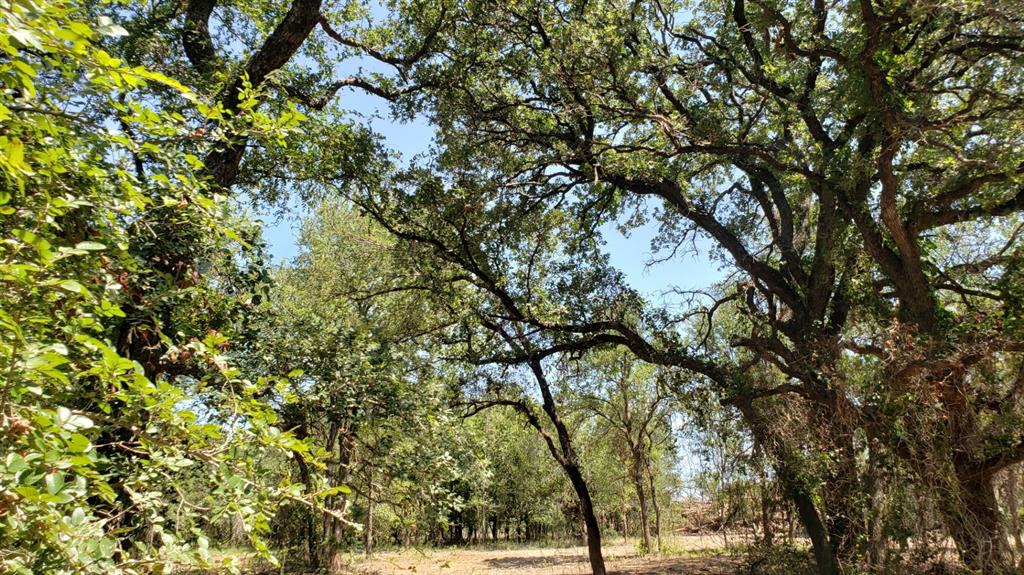 850 Fm 2256 Property Photo 28