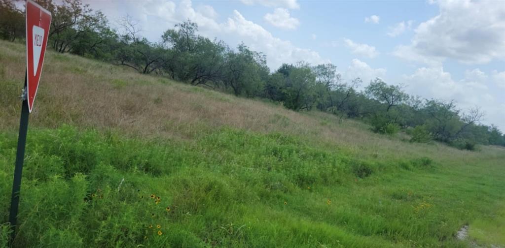 Lot 118 Palmito Rnch Road Property Photo 4