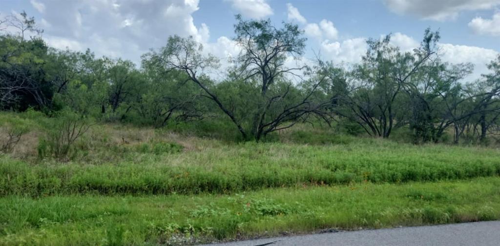 Lot 118 Palmito Rnch Road Property Photo 5
