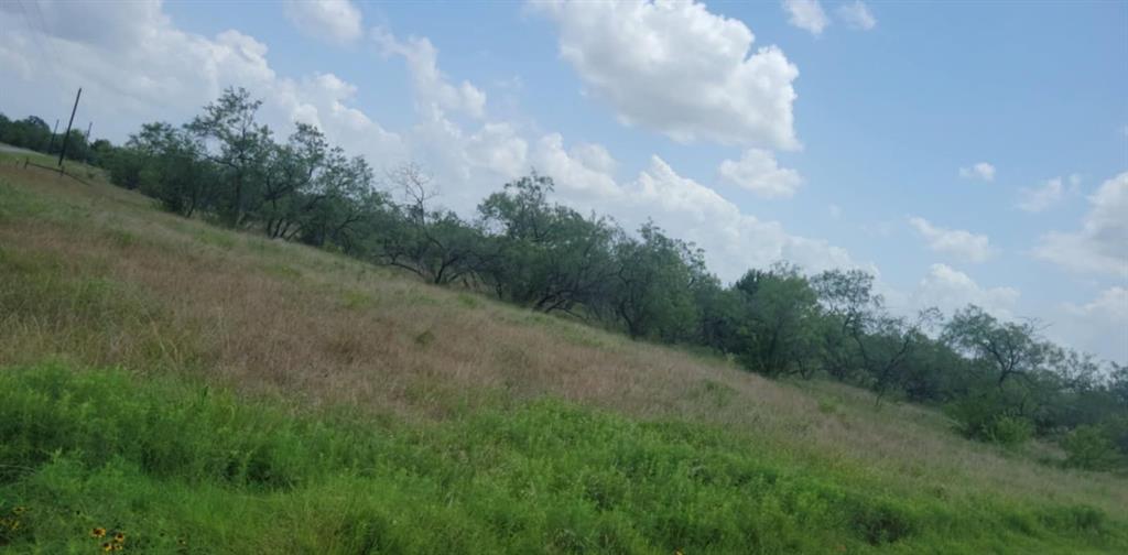 Lot 118 Palmito Rnch Road Property Photo 6