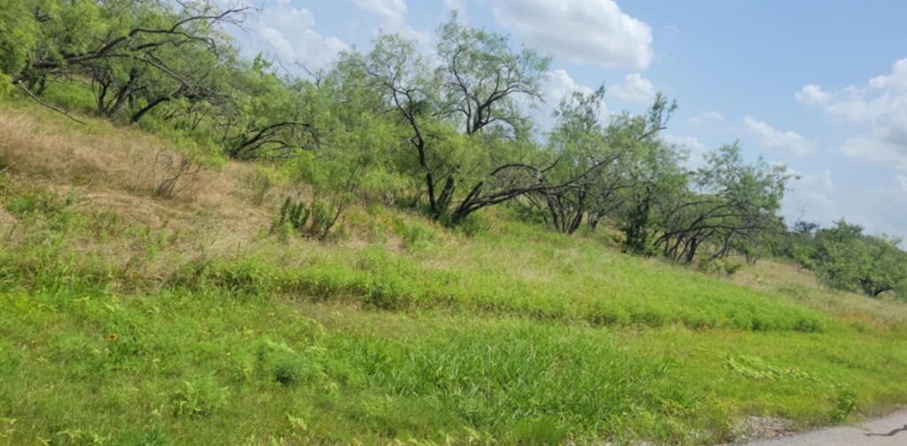 Lot 118 Palmito Rnch Road Property Photo 7
