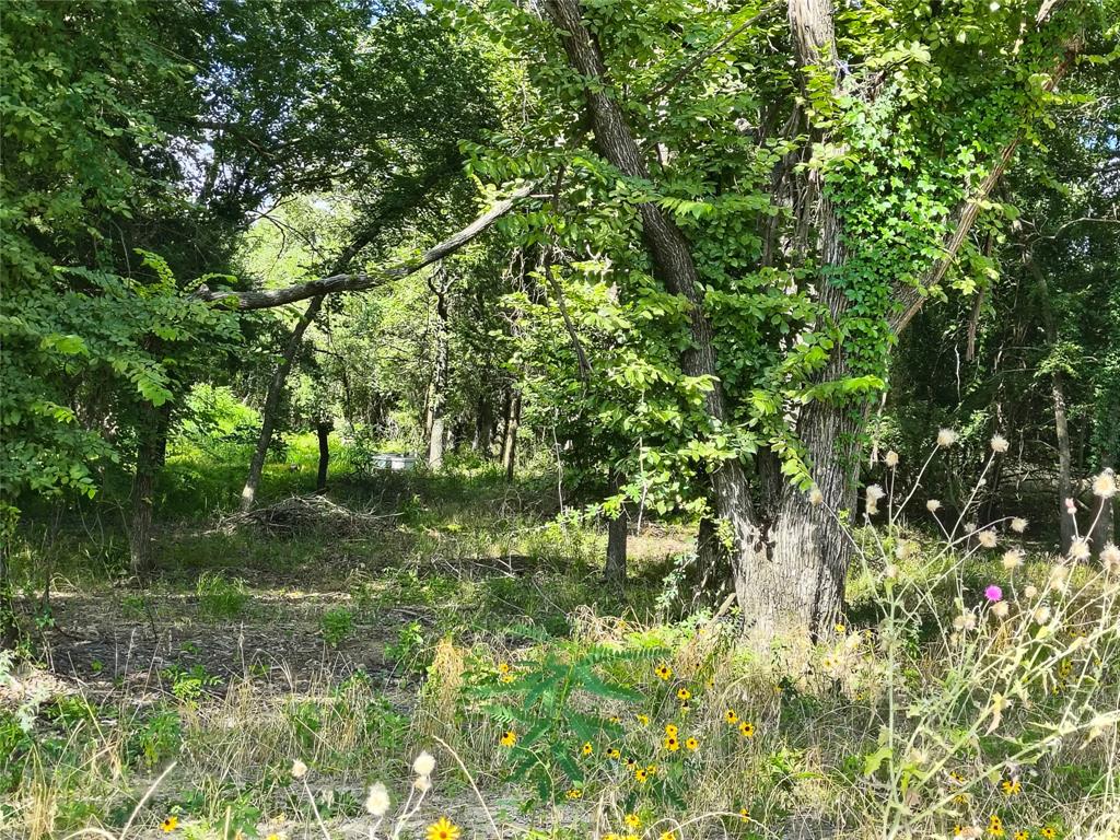 277 County Road 4461 Property Photo 12