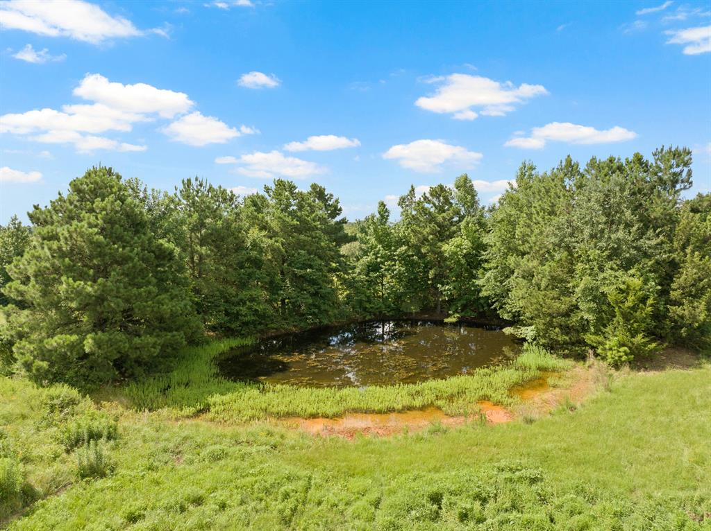6670 Fm 1402 Property Photo 5