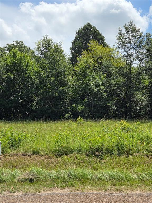 166 DEER RUN Road