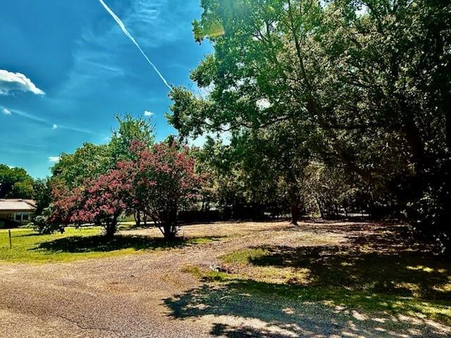104 S Lamar Street Property Photo 3