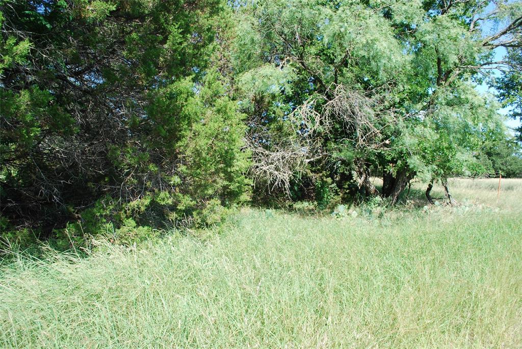 37014 Woodacre Court Property Photo 1