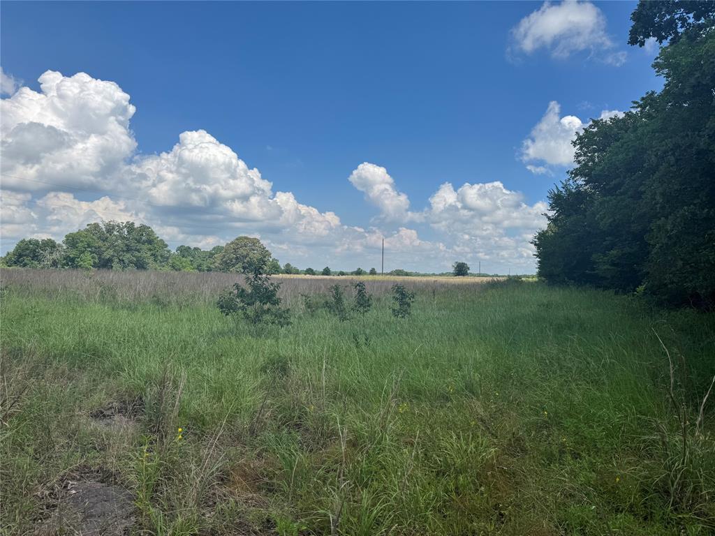 Tbd County Road 3925 Property Photo 2