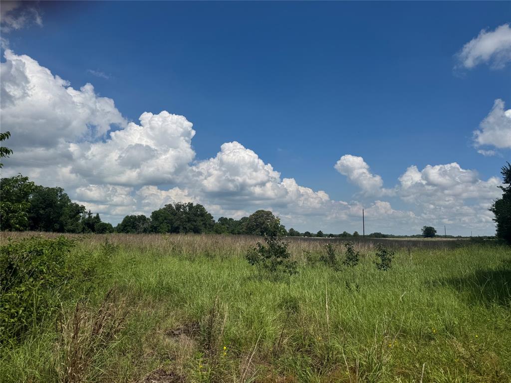 Tbd County Road 3925 Property Photo 3