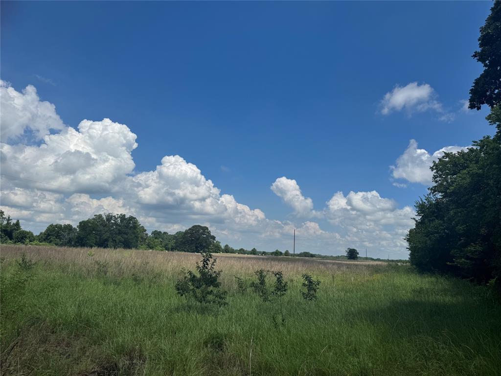 Tbd County Road 3925 Property Photo 4