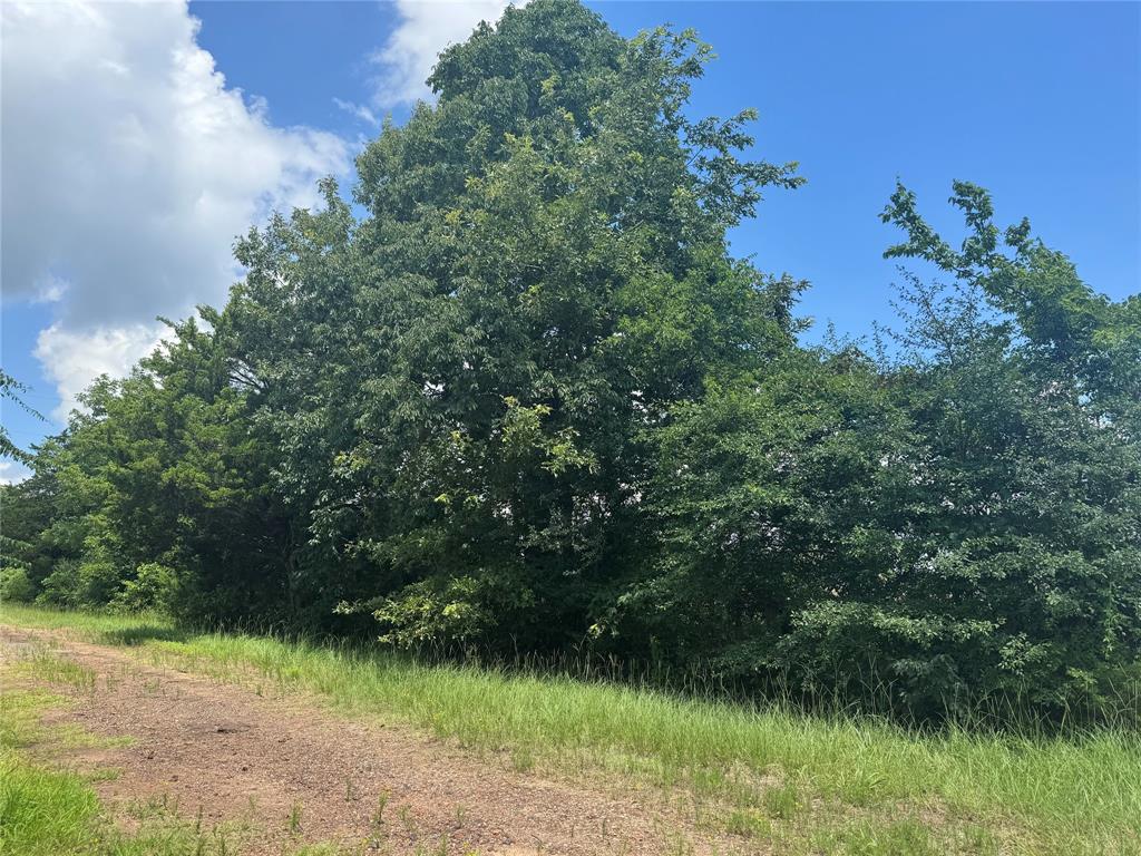 Tbd County Road 3925 Property Photo 5