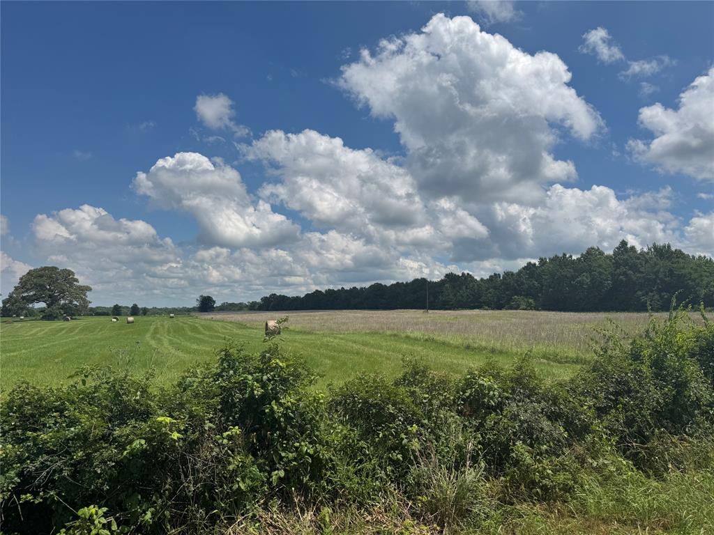 Tbd County Road 3925 Property Photo 6
