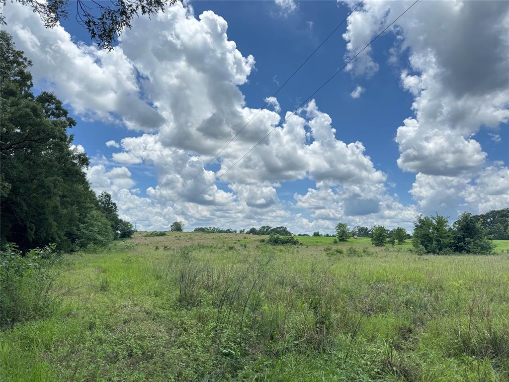 Tbd County Road 3925 Property Photo 9