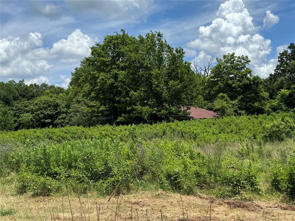 Tbd County Road 3925 Property Photo 13