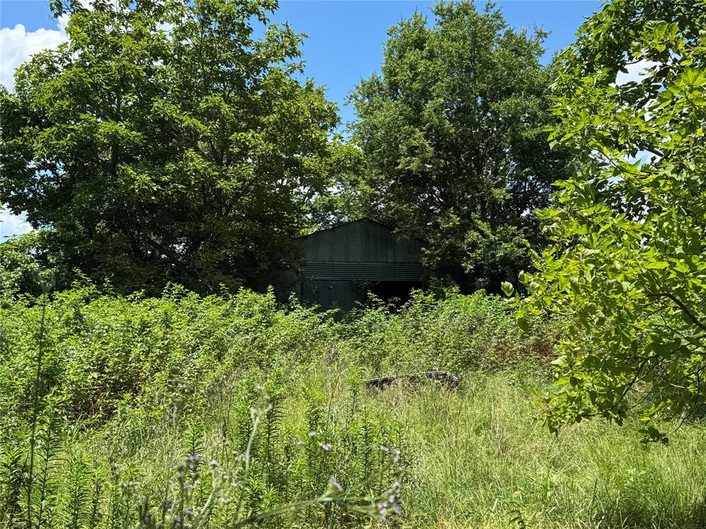 Tbd County Road 3925 Property Photo 14