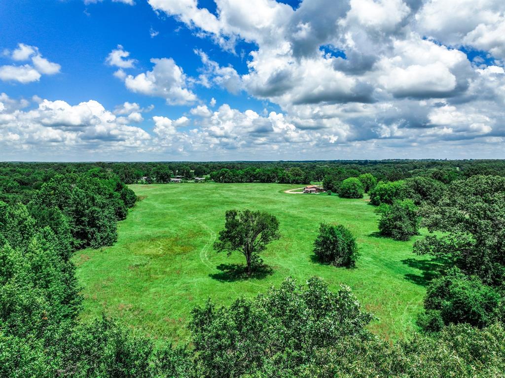 Tbd County Road 2436 Property Photo 12