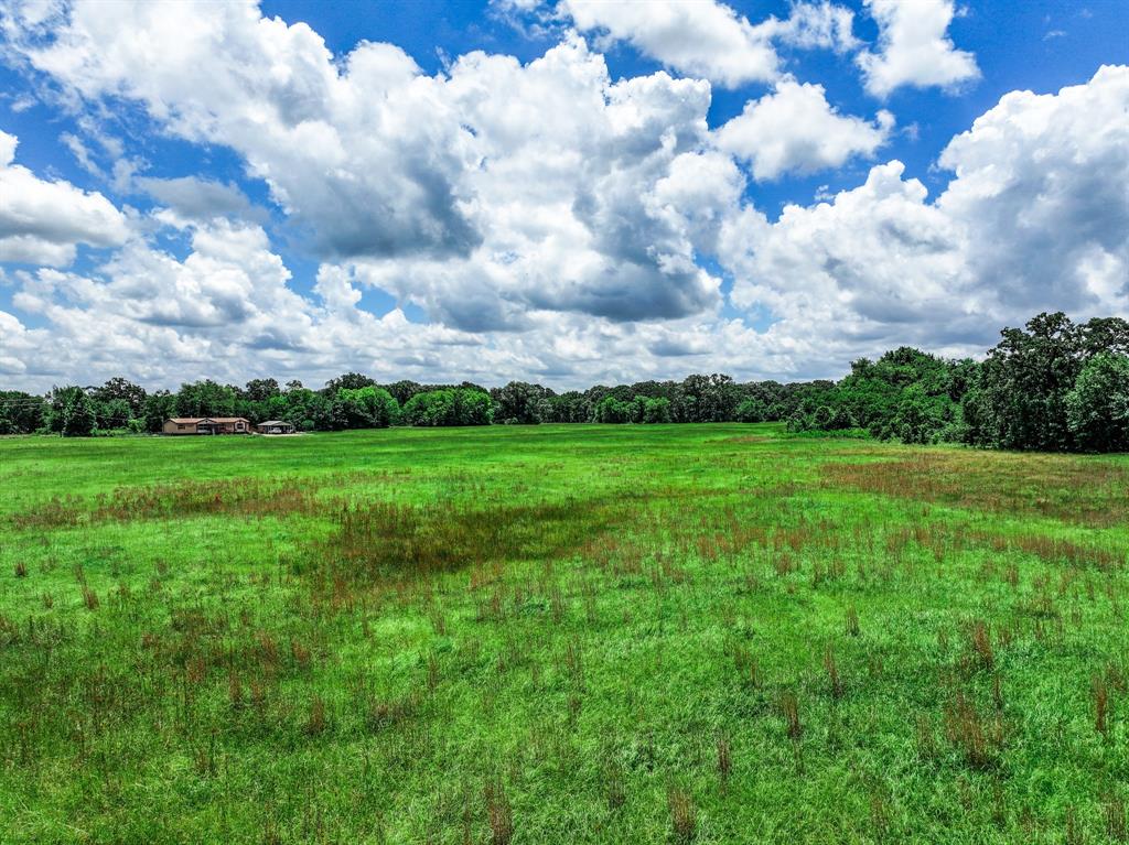 Tbd County Road 2436 Property Photo 14