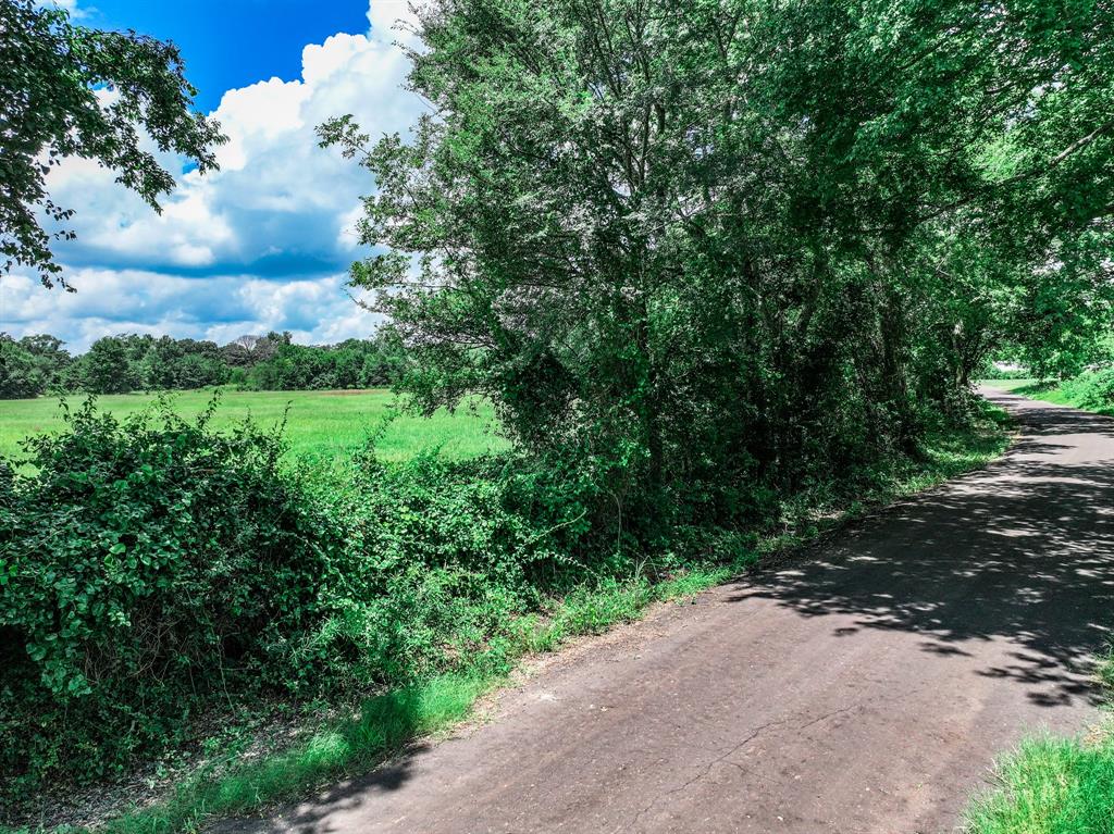 Tbd County Road 2436 Property Photo 15