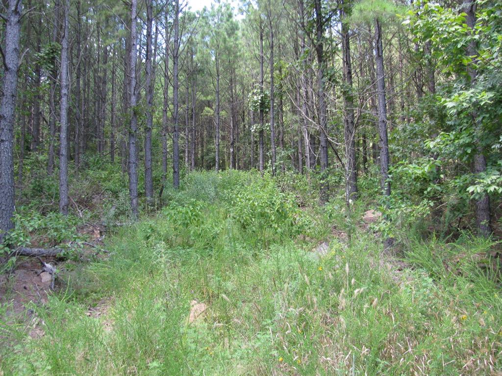 Tbd Josee's Journey Property Photo 1