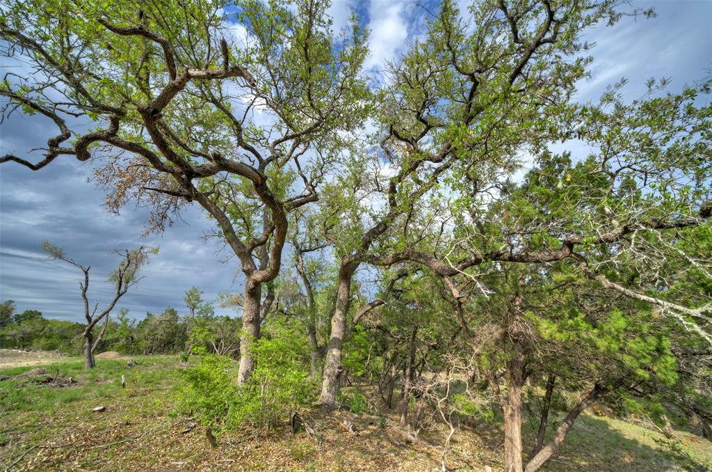 11916 Jim Bridger Drive Property Photo 11