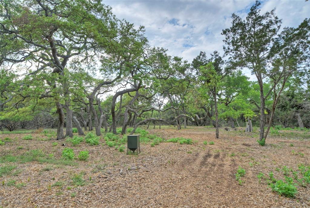 11916 Jim Bridger Drive Property Photo 18