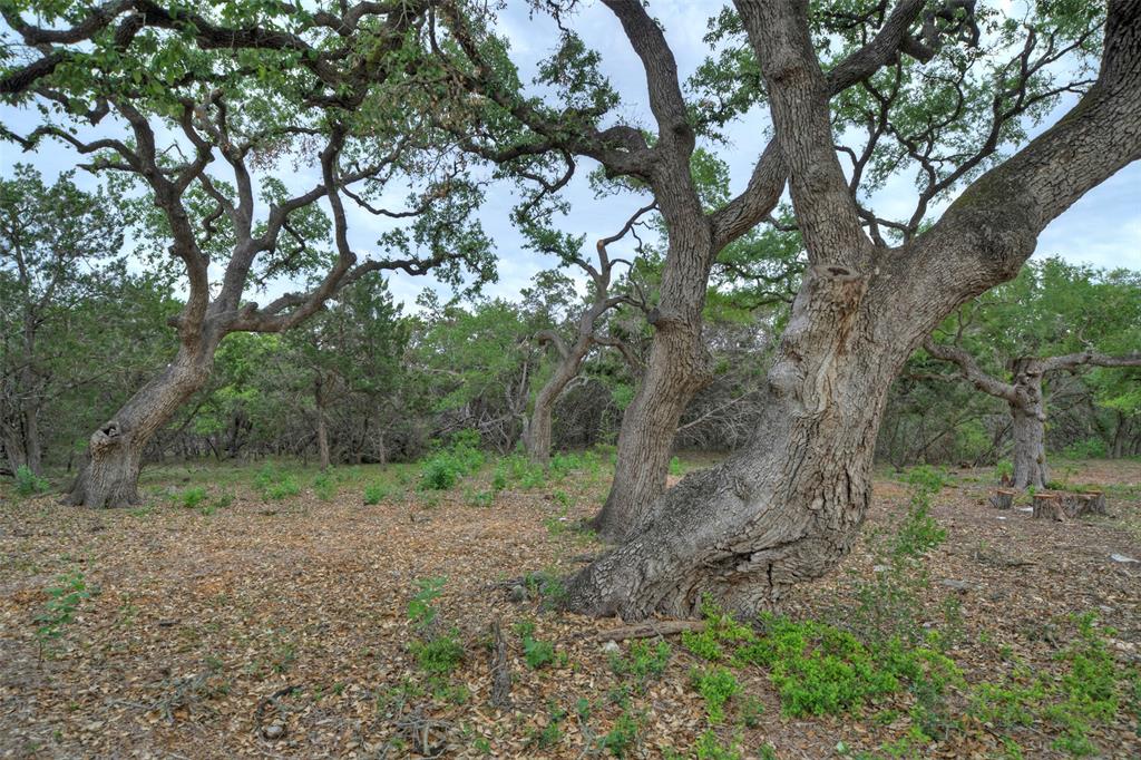11916 Jim Bridger Drive Property Photo 31