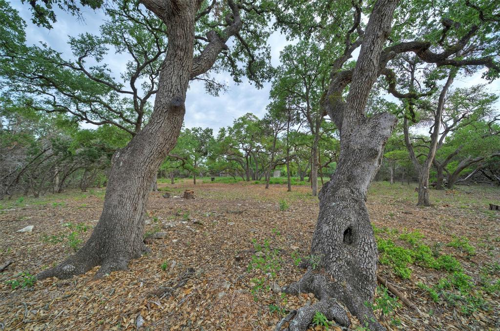 11916 Jim Bridger Drive Property Photo 33