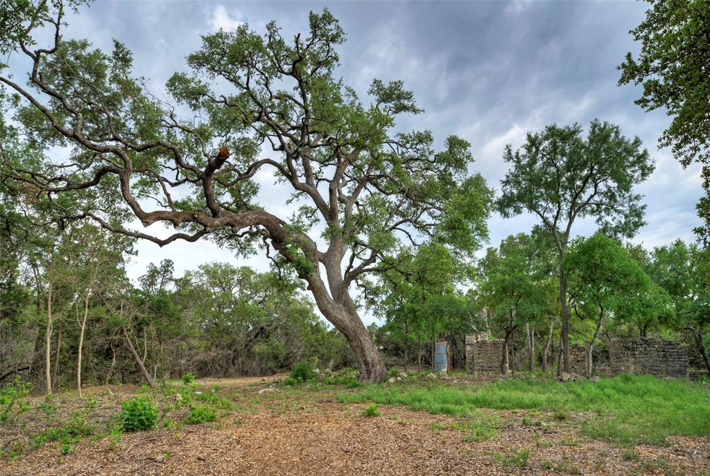 11916 Jim Bridger Drive Property Photo 35