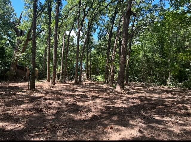 104 Red Bluff Loop
