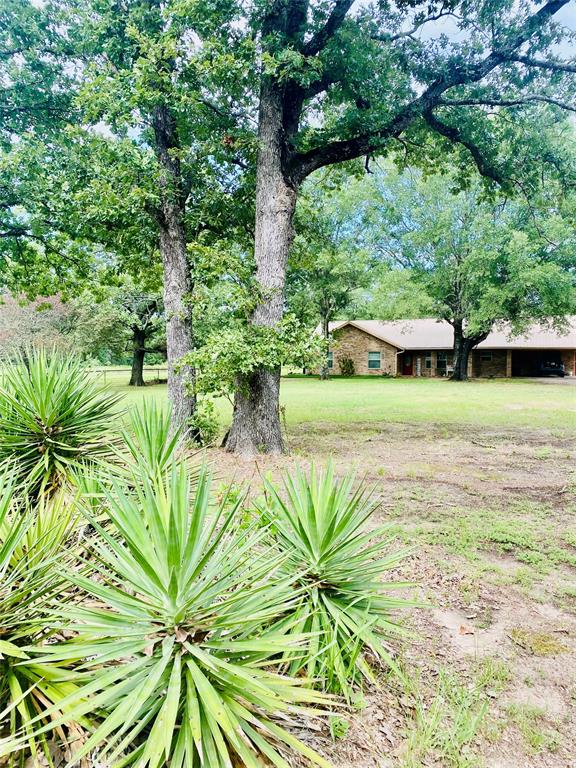 3291 Fm 410 South Property Photo 1
