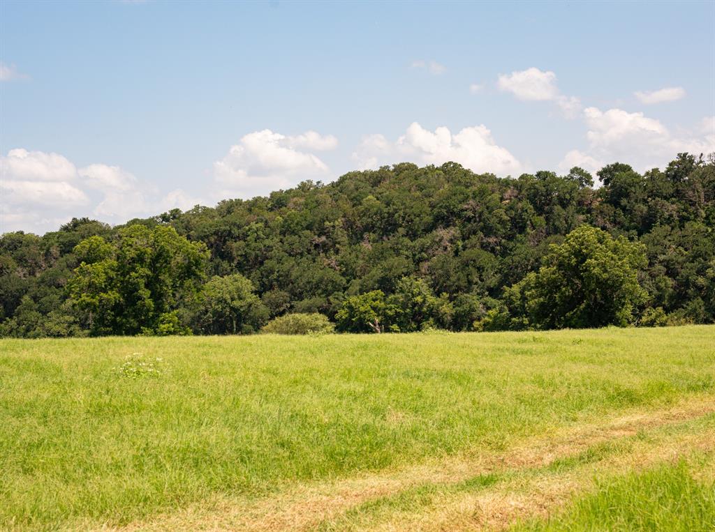 2105 River Shoals Road Property Photo 21
