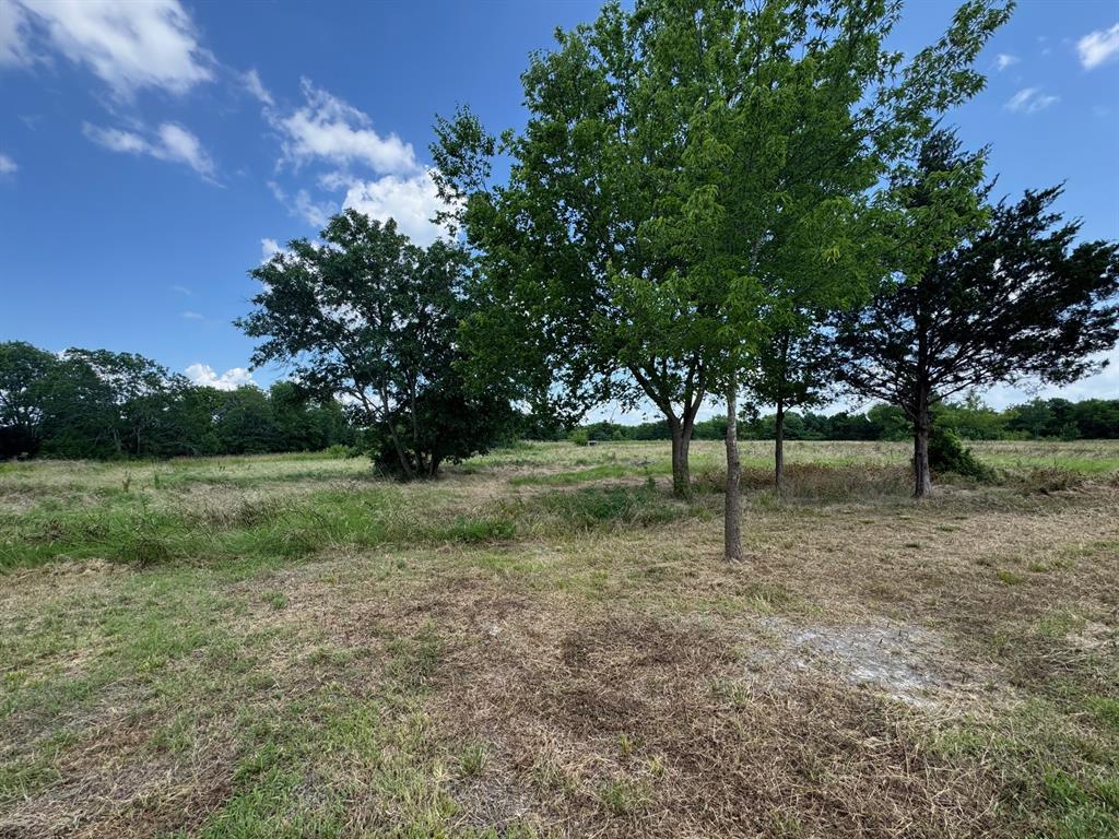 2107 S 19 & 24 Highway Property Photo 11