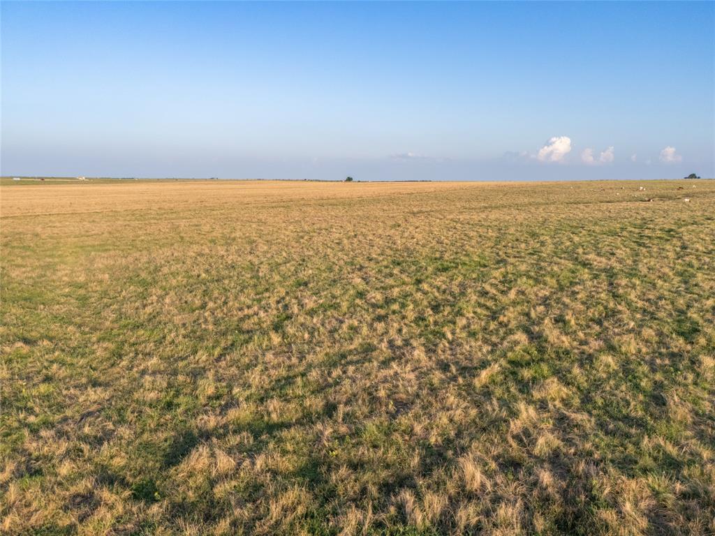 000 Fm 51 Road Property Photo 9
