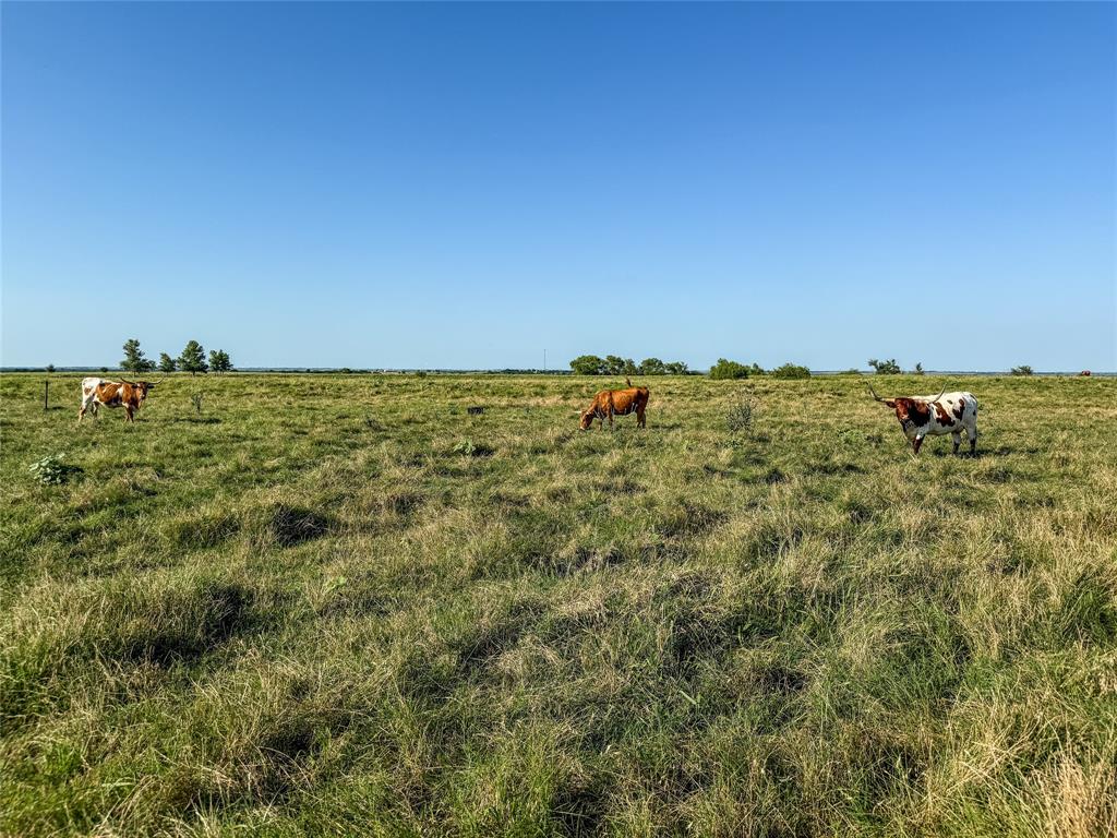 000 Fm 51 Road Property Photo 26