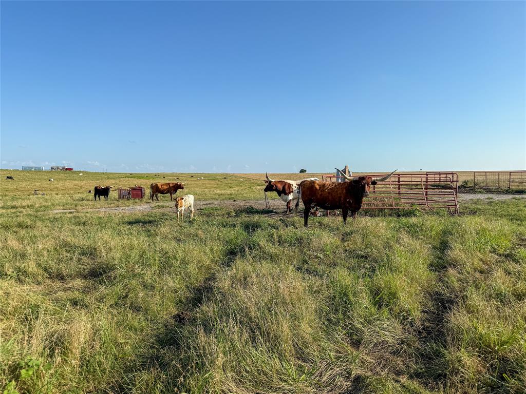 000 Fm 51 Road Property Photo 28