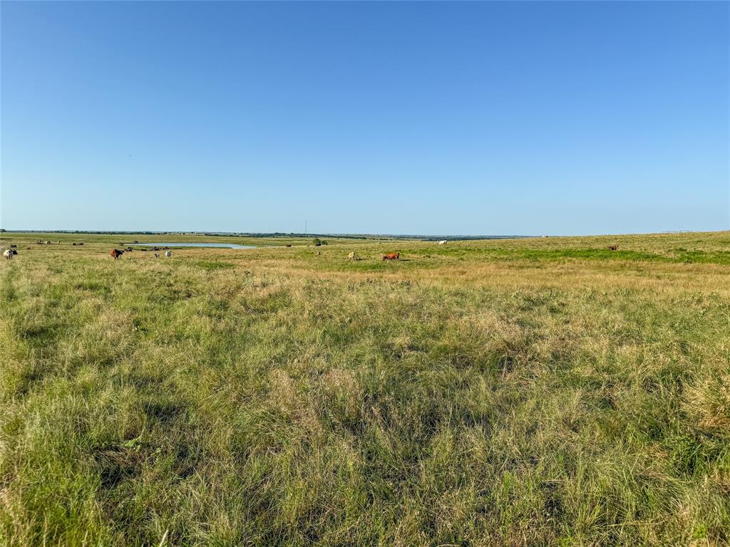 000 Fm 51 Road Property Photo 31