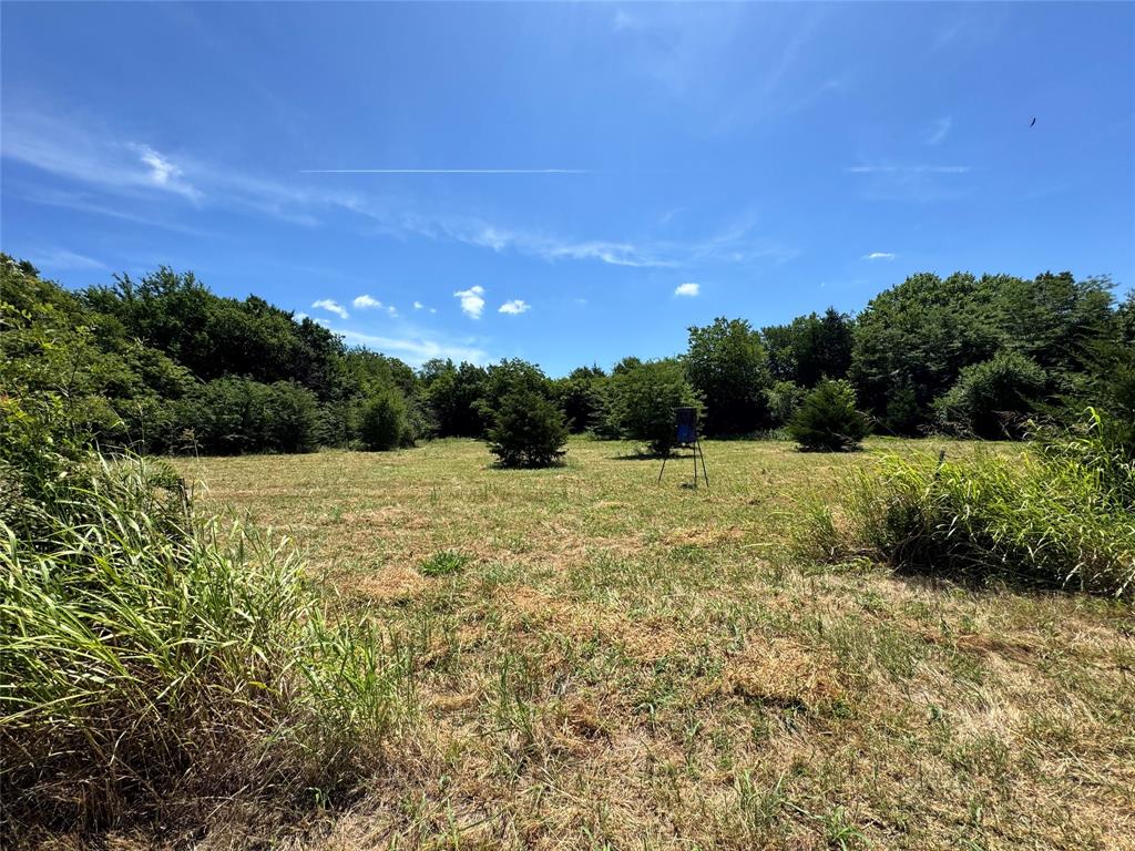 Tbd County Road 2740 Property Photo 1