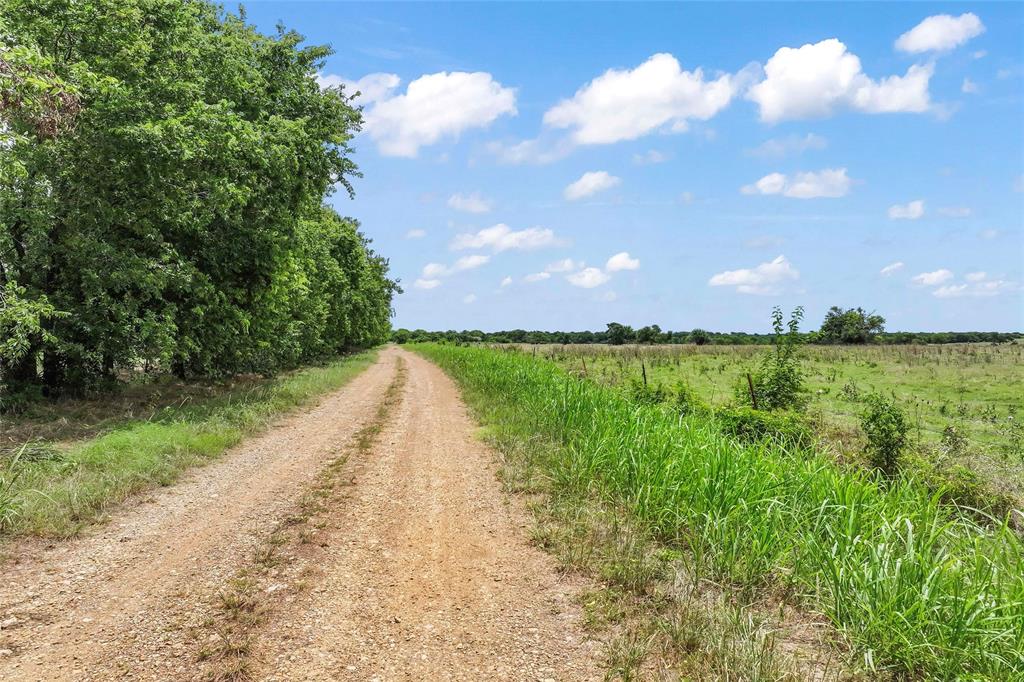 150.2 +/- Ac 14134 Cashs Mill Road Property Photo 16