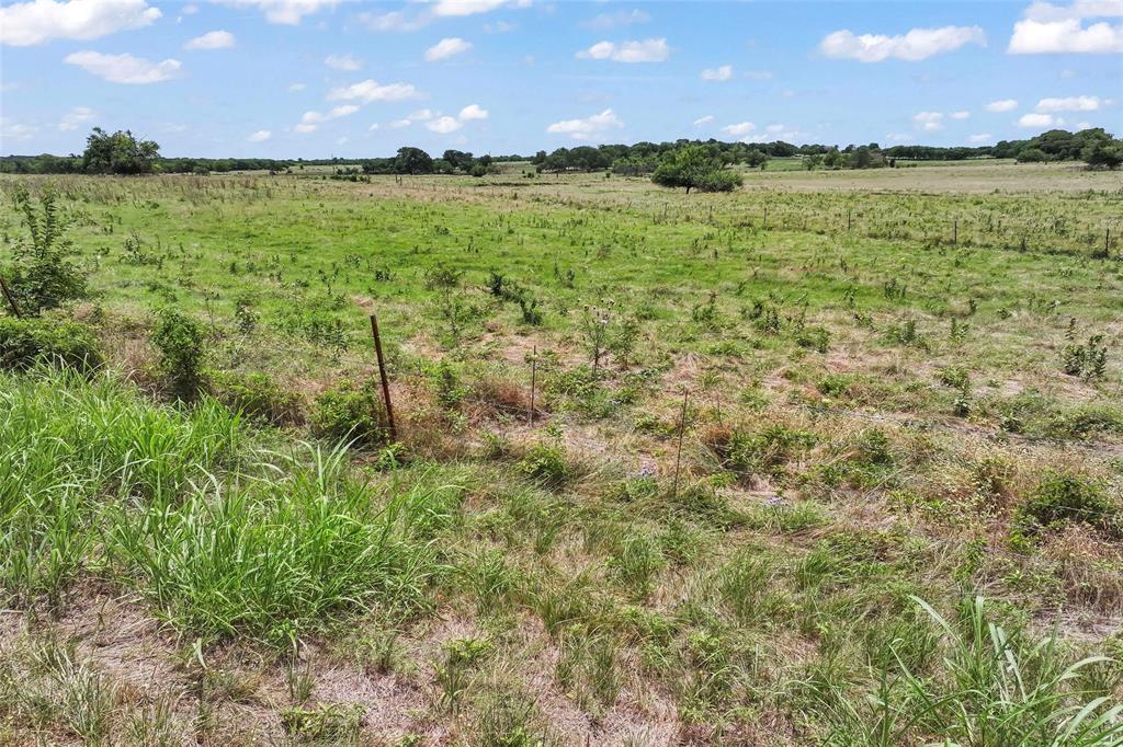 150.2 +/- Ac 14134 Cashs Mill Road Property Photo 17