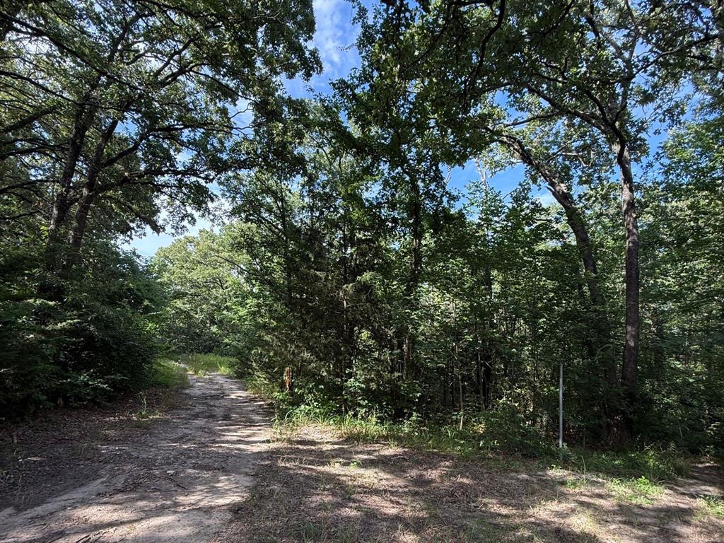 00 County Road 3605 Property Photo 1