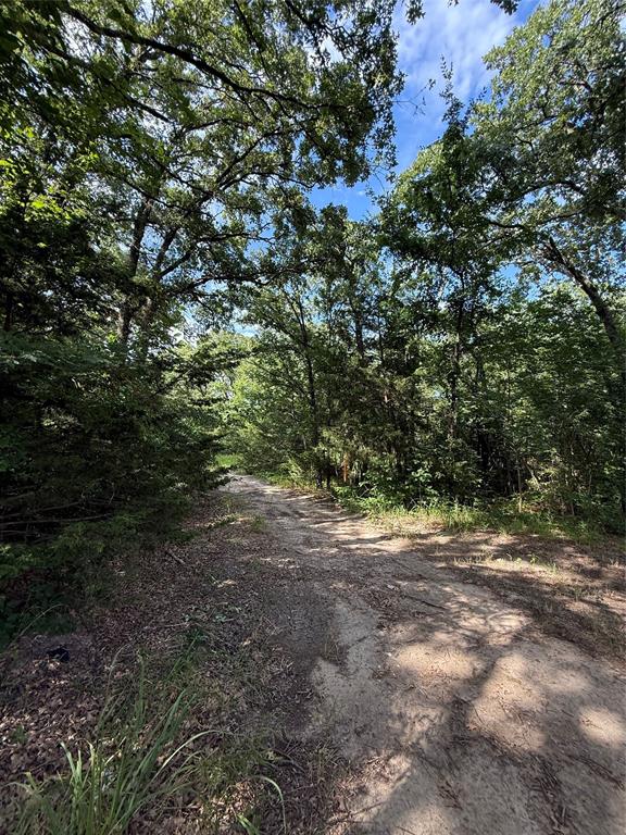 00 County Road 3605 Property Photo 2