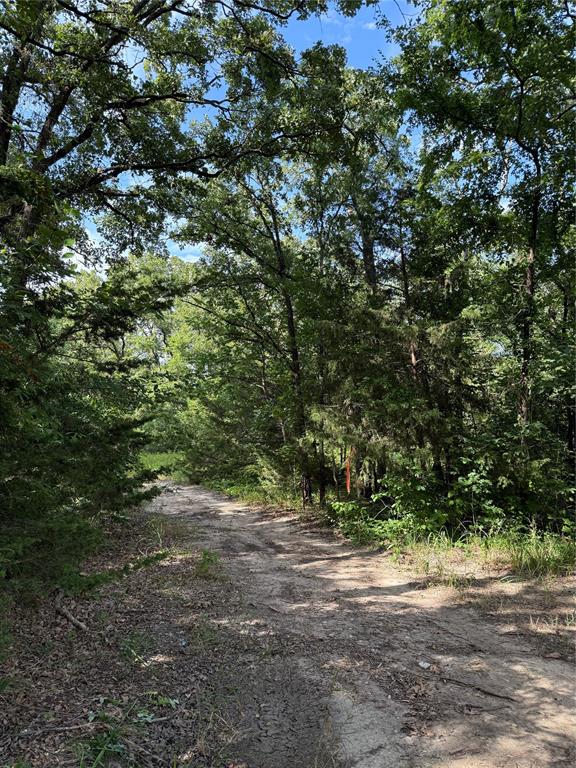 00 County Road 3605 Property Photo 4