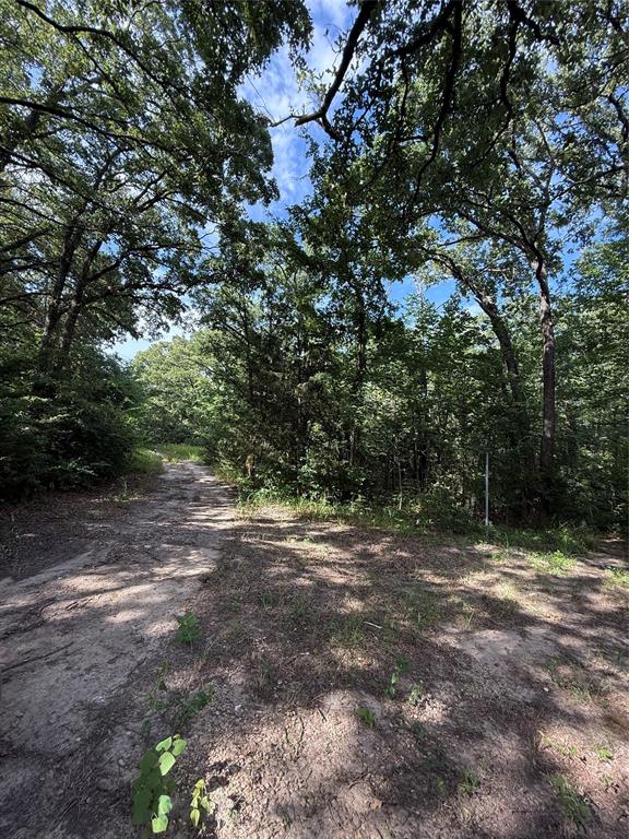 00 County Road 3605 Property Photo 5