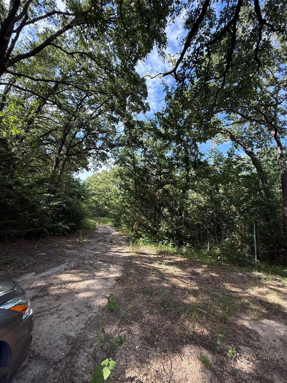 00 County Road 3605 Property Photo 6