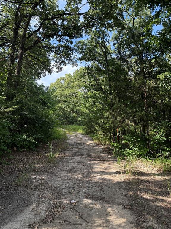 00 County Road 3605 Property Photo 8
