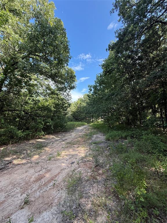 00 County Road 3605 Property Photo 9